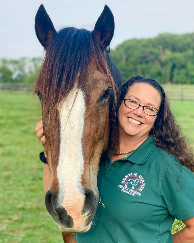 Christine Hajek (horses)